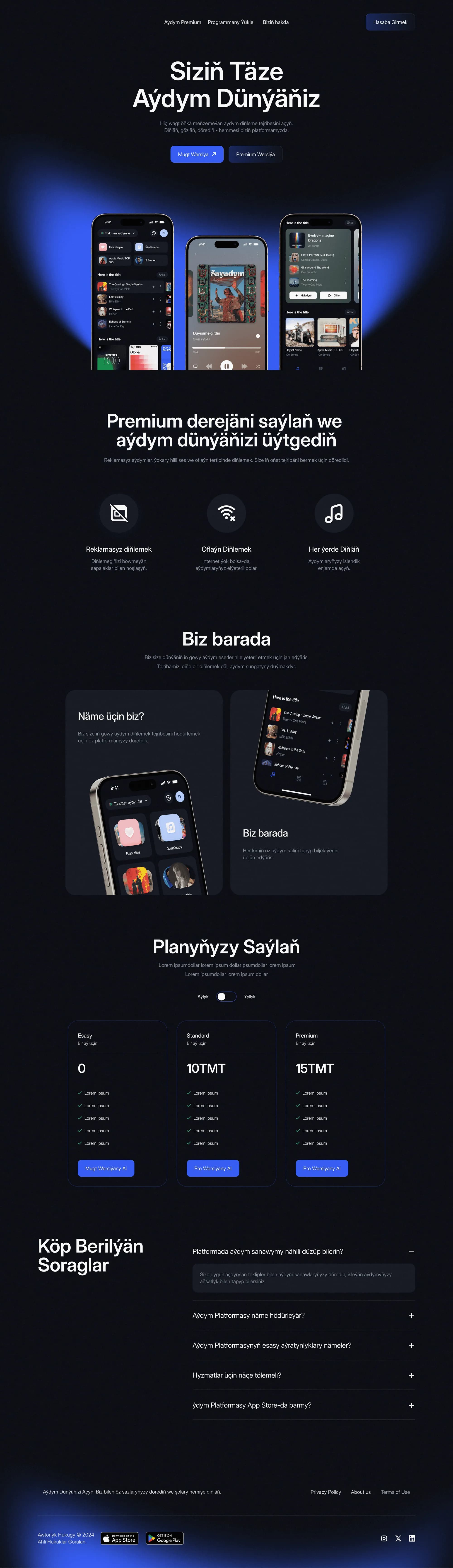 Seda Music full landing page design